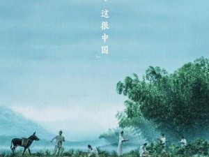 yw1137 龙物视：畅享精彩影视，尽在这里