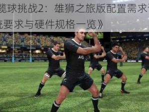 《橄榄球挑战2：雄狮之旅版配置需求详解——系统要求与硬件规格一览》