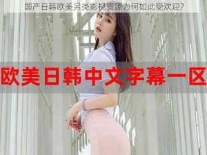 国产日韩欧美另类影视资源为何如此受欢迎？