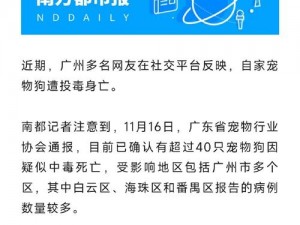 吕瑶门事件、吕瑶门事件：涉事人被指为港姐，视频流出后引发热议