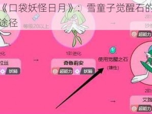 探索《口袋妖怪日月》：雪童子觉醒石的神秘获取途径