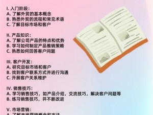 打造全球流程攻略宝典：从入门到精通的全方位指南