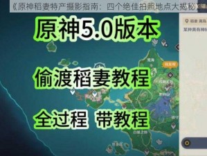 《原神稻妻特产摄影指南：四个绝佳拍照地点大揭秘》