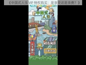 《中国式人生 VIP 特权购买：是享受还是浪费？》