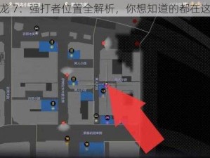 如龙 7：强打者位置全解析，你想知道的都在这里