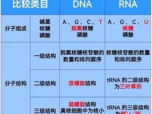 欧洲人与亚洲人的 DNA 有何差异？对比两者的 DNA 能为我们揭示什么？