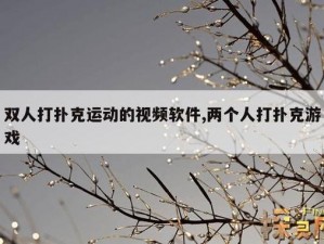 二人扑克剧烈运动视频软件【二人扑克剧烈运动视频软件是一种什么样的软件？】