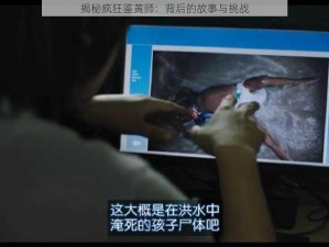 揭秘疯狂鉴黄师：背后的故事与挑战