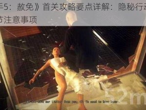 《杀手5：赦免》首关攻略要点详解：隐秘行动与关键细节注意事项