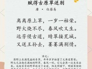 门外草萋萋，为什么会这样？有何解决办法？