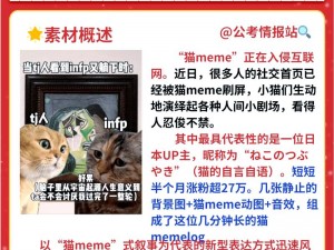 为什么找不到 mememe 视频完整版在线观看网站更新资源？如何解决？