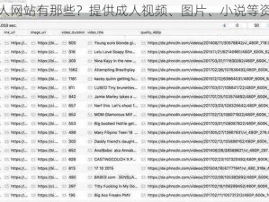 成人网站有那些？提供成人视频、图片、小说等资源