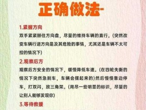 《尘埃拉力赛爆胎预防攻略：深度解析防止爆胎方法与策略》