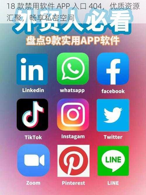 18 款禁用软件 APP 入口 404，优质资源汇聚，畅享私密空间