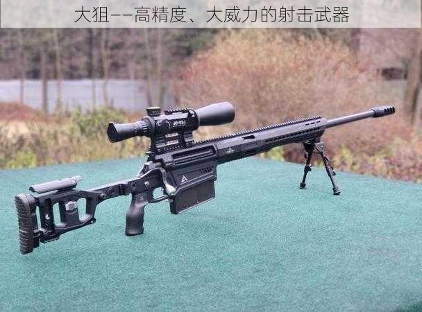 大狙——高精度、大威力的射击武器