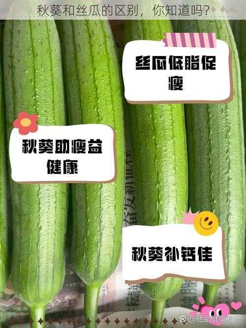 秋葵和丝瓜的区别，你知道吗？