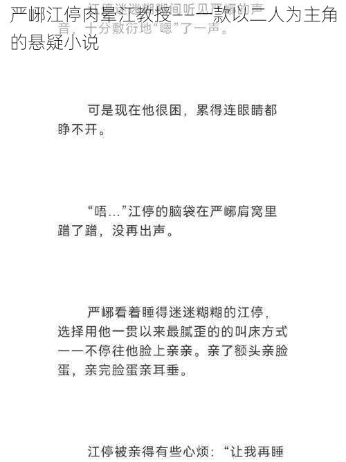 严峫江停肉晕江教授——一款以二人为主角的悬疑小说