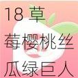 18 草莓樱桃丝瓜绿巨人秋葵，一款功能强大的视频播放软件