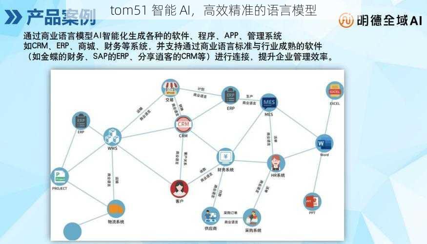 tom51 智能 AI，高效精准的语言模型