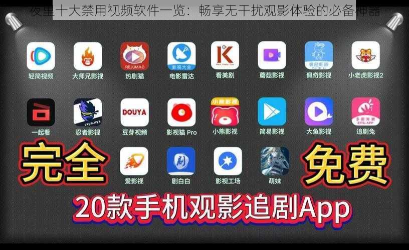 夜里十大禁用视频软件一览：畅享无干扰观影体验的必备神器