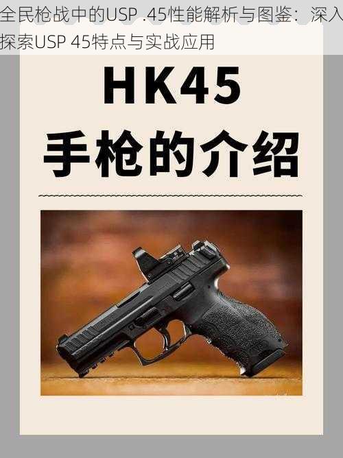 全民枪战中的USP .45性能解析与图鉴：深入探索USP 45特点与实战应用