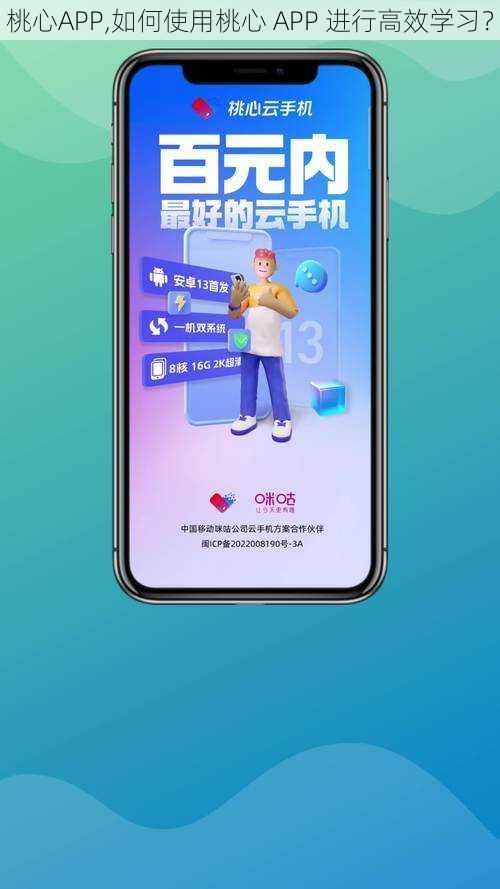 桃心APP,如何使用桃心 APP 进行高效学习？