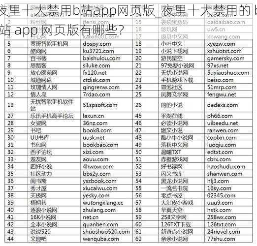夜里十大禁用b站app网页版_夜里十大禁用的 b 站 app 网页版有哪些？
