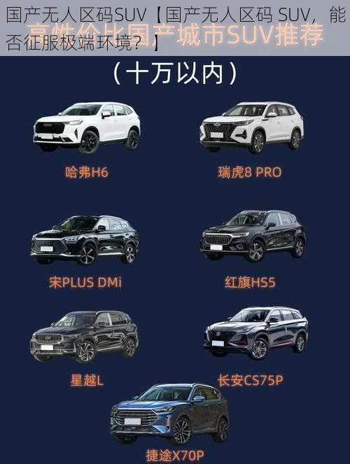 国产无人区码SUV【国产无人区码 SUV，能否征服极端环境？】