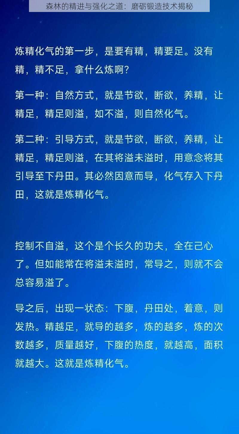 森林的精进与强化之道：磨砺锻造技术揭秘