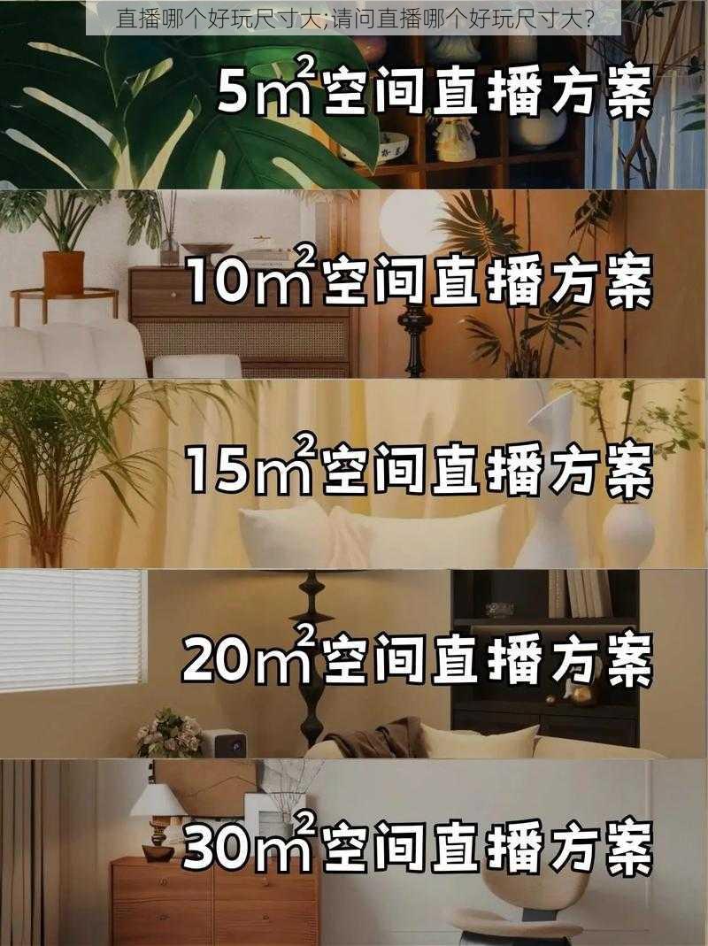 直播哪个好玩尺寸大;请问直播哪个好玩尺寸大？