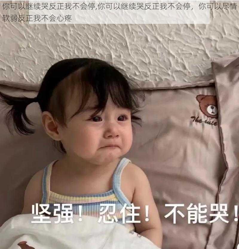 你可以继续哭反正我不会停,你可以继续哭反正我不会停，你可以尽情软弱反正我不会心疼