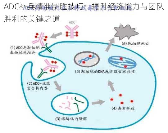 ADC补兵精准制胜技巧：提升经济能力与团队胜利的关键之道