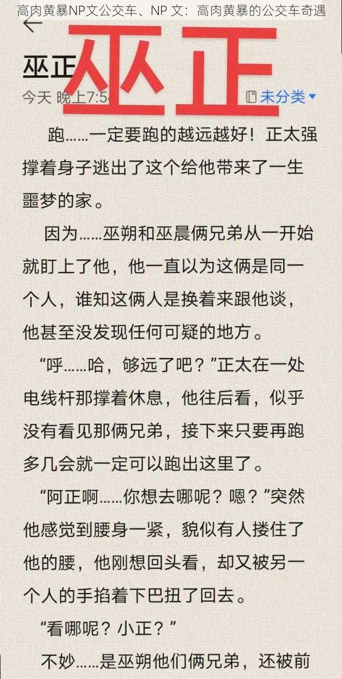 高肉黄暴NP文公交车、NP 文：高肉黄暴的公交车奇遇