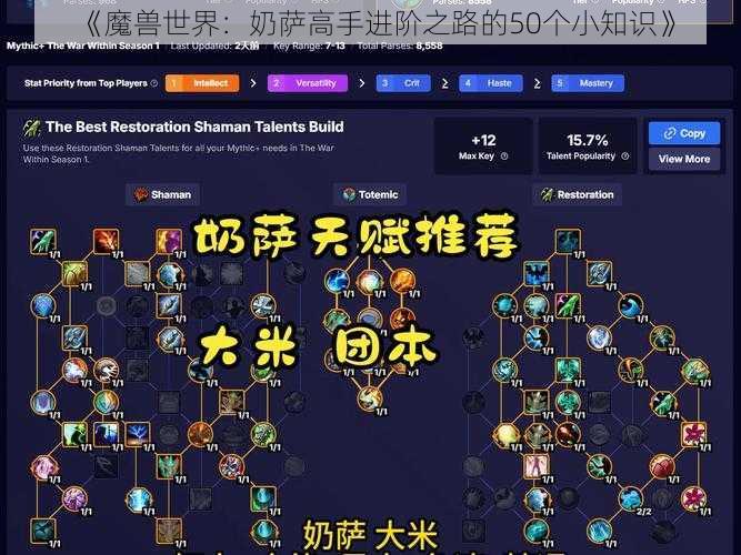 《魔兽世界：奶萨高手进阶之路的50个小知识》