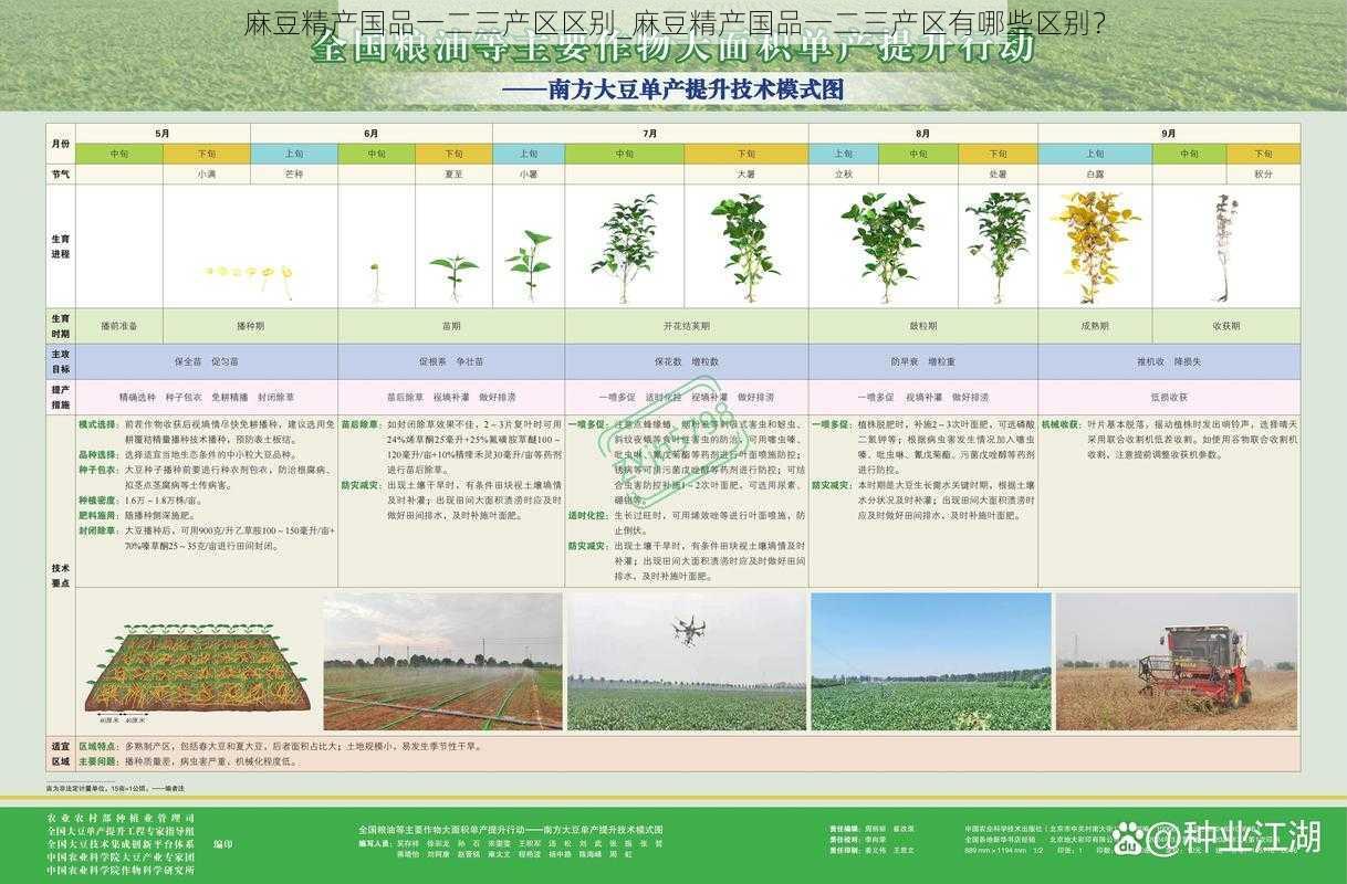 麻豆精产国品一二三产区区别_麻豆精产国品一二三产区有哪些区别？