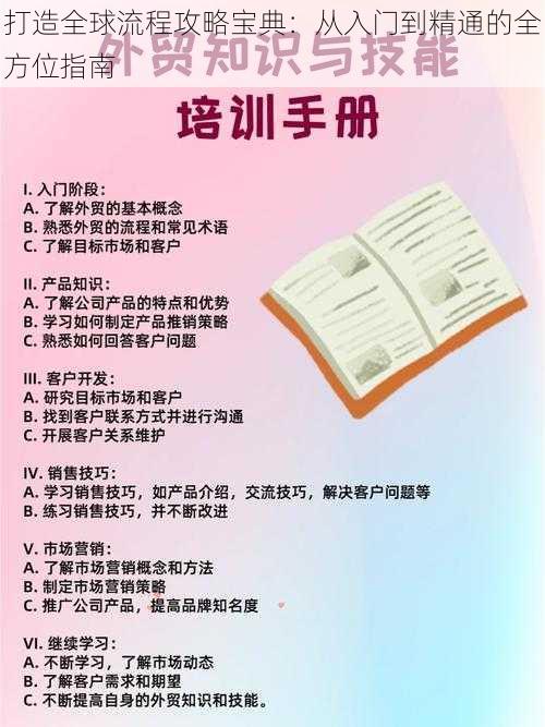 打造全球流程攻略宝典：从入门到精通的全方位指南