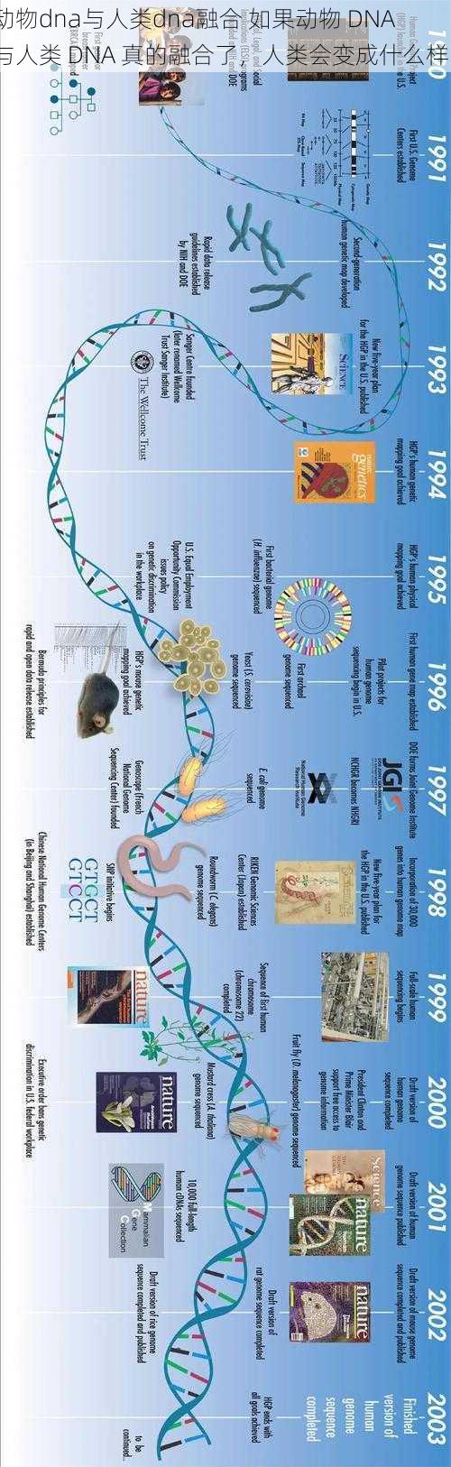 动物dna与人类dna融合 如果动物 DNA 与人类 DNA 真的融合了，人类会变成什么样？