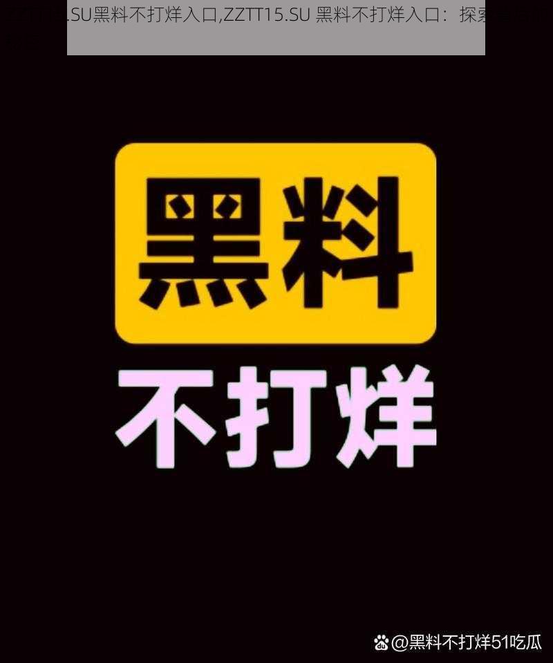 ZZTT15.SU黑料不打烊入口,ZZTT15.SU 黑料不打烊入口：探索背后的秘密