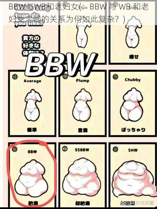 BBW与WB和老妇女(：BBW 与 WB 和老妇女之间的关系为何如此复杂？)