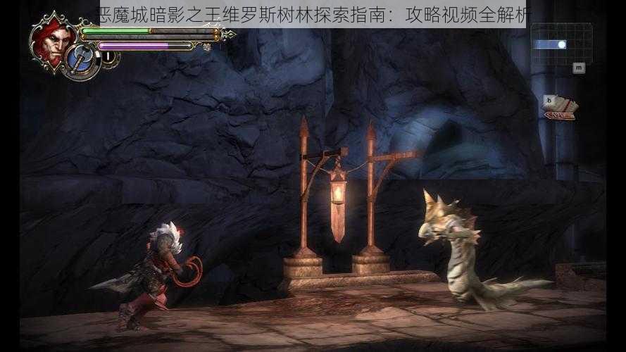 恶魔城暗影之王维罗斯树林探索指南：攻略视频全解析