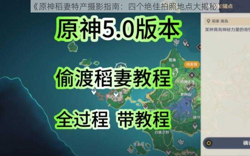 《原神稻妻特产摄影指南：四个绝佳拍照地点大揭秘》