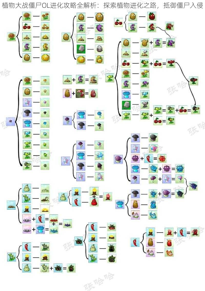 植物大战僵尸OL进化攻略全解析：探索植物进化之路，抵御僵尸入侵