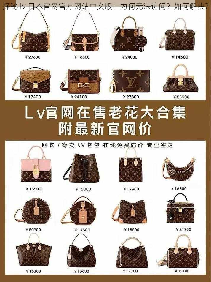 探秘 lv 日本官网官方网站中文版：为何无法访问？如何解决？