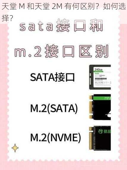 天堂 M 和天堂 2M 有何区别？如何选择？