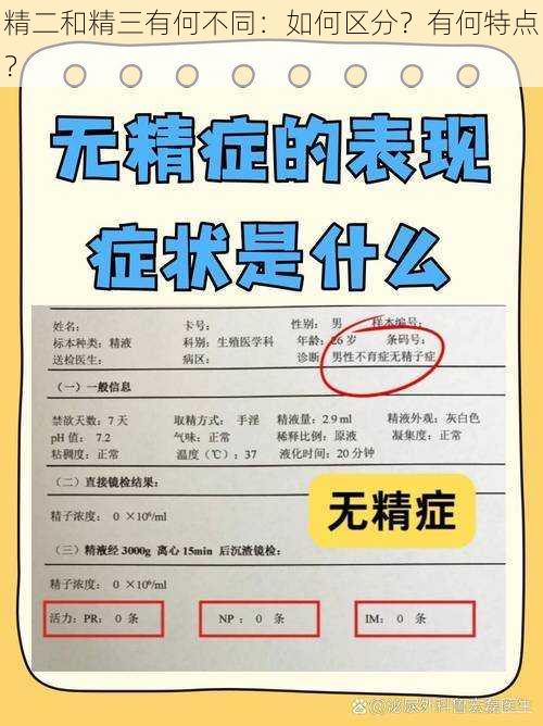 精二和精三有何不同：如何区分？有何特点？