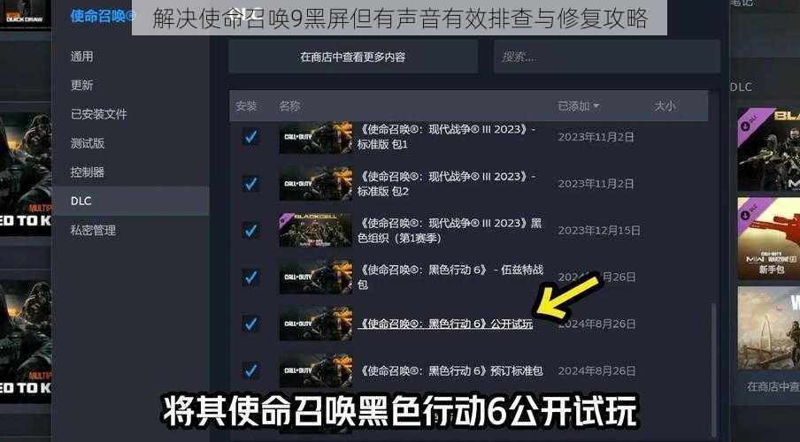 解决使命召唤9黑屏但有声音有效排查与修复攻略