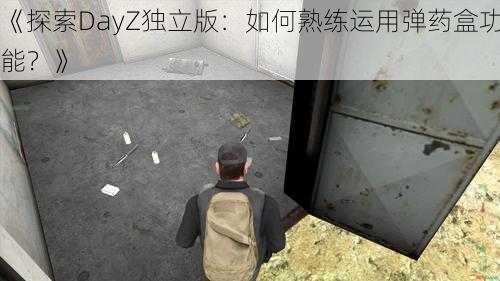 《探索DayZ独立版：如何熟练运用弹药盒功能？》