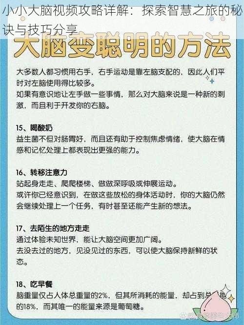 小小大脑视频攻略详解：探索智慧之旅的秘诀与技巧分享