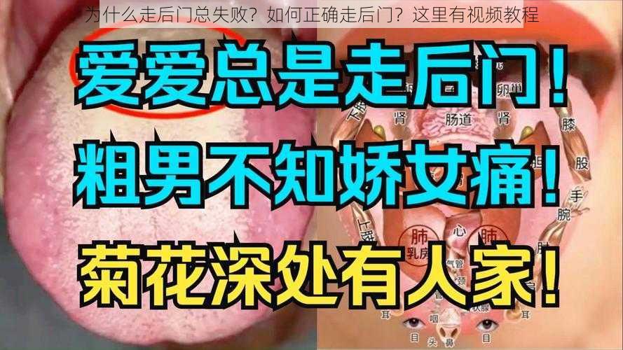 为什么走后门总失败？如何正确走后门？这里有视频教程