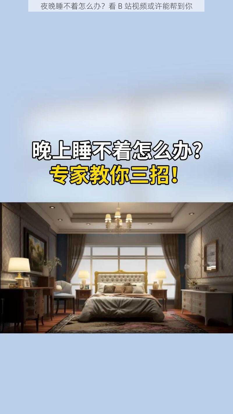 夜晚睡不着怎么办？看 B 站视频或许能帮到你